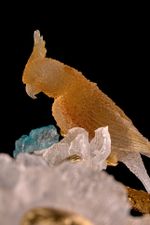 Люстра подвесная Sauvage FL1099-24P, LED