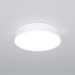 Потолочный светодиодный светильник 90319/1 белый, LED