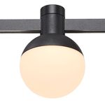 ST815.406.05 Магнитный трековый светильник FARM Черный LED 1*5W 3000K 78Lm Ra90 120 IP20 D75xH109 24V