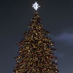 Светодиодная гирлянда ARD-STRING-CLASSIC-10000-BLACK-100LED-MILK-STD Warm (230V, 7W) (Ardecoled, IP65)