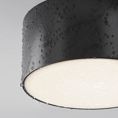 Потолочный светильник Zon IP 4000 15Вт IP 65, O430CL-L15B4K. TM Maytoni