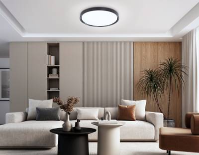 Потолочный светодиодный светильник FZ1248 BK черный IP54 30W 5000K D380*60 (Без ПДУ)