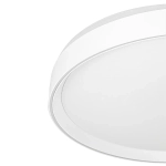 Citilux BOSS CL751450G LED RGB Светильник с пультом Белый