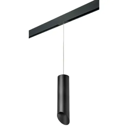 PRORP649787 Светильник д/1-фазн трека RULLO HP16 (216497+595887+201487) Lightstar
