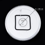 Citilux Старлайт Смарт CL703A81G Умная люстра Матовый Хром