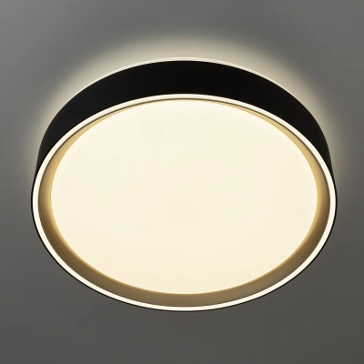 Citilux BOSS CL751251G LED RGB Светильник с пультом Чёрный с Золотом