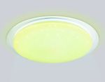 Светильник светодиодный RGB с пультом FZ770 WH белый IP20 42W 3000-6500K+RGB 450*55 (ПДУ ИК)