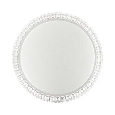 2036/DL PALE SN 197 Светильник пластик/белый/прозрачный LED 48Вт 3000-6300K D400 IP43 пульт ДУ BRISA