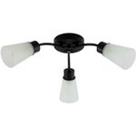 01348-0.3-03 BK+CR светильник потолочный