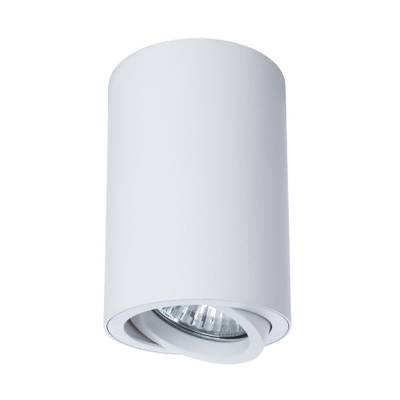 Точечный накладной светильник Arte Lamp SENTRY A1560PL-1WH, 1хGU10