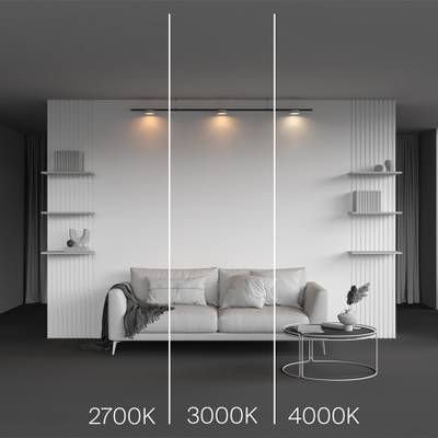 Трековый светильник Zon Levity 3000К 12Вт 100°, TR189-1-12W3K-BW. TM Maytoni