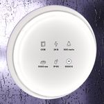 Светодиодная лента 24В COB 12Вт/м 6000K 5м IP65, 10187. TM Maytoni