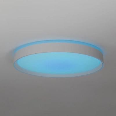 Citilux BOSS CL751450G LED RGB Светильник с пультом Белый