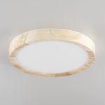Citilux Бейсик CL738122N LED Светильник накладной Клён