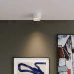 Светильник потолочный светодиодный Banti 13W 4200K белый 25123/LED