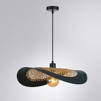 Подвесной светильник Arte Lamp WOODSTOCK A7059SP-1BK, 1хE27