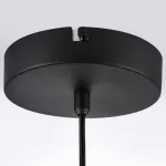 737527 Люстра EMISFERO 8W LED 250LM G ЧЕРНЫЙ/ПРОЗРАЧНЫЙ+ЯНТАРЬ 3000K Lightstar