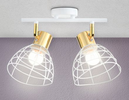 Настенно-потолочный спот в стиле лофт TR8601/2 WH/GD белый/золото E27*2 max 40W 260*154*230
