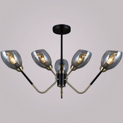 IL9960-6CSQ-79 BK AB светильник потолочный