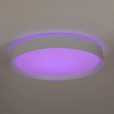Citilux BOSS CL751350G LED RGB Светильник с пультом Белый