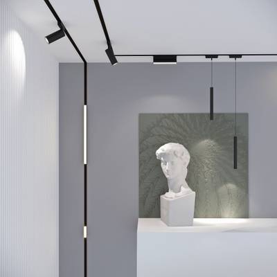 Flat Magnetic Трековый светильник 12W 4000K Insight чёрный 85091/01