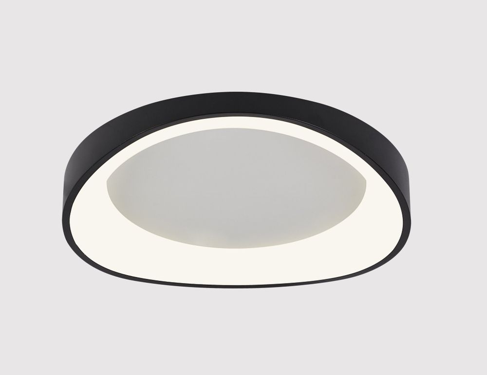 Потолочный светильник Arte Lamp A2698PL-60BK, 1хLED
