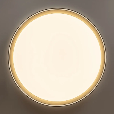 Citilux BOSS CL751451G LED RGB Светильник с пультом Чёрный с Золотом