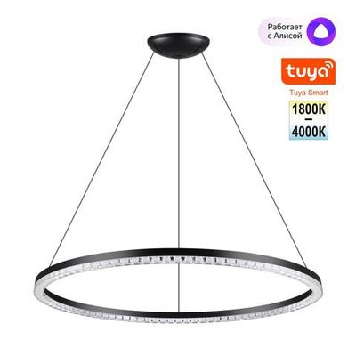 359711 LEDO NT25 332 черный Светильник подвесной диммир. со сменой цв.темпер. (пульт ДУ/прилож. Smart Life) IP20 LED 70W 220-240V 1800-4000К MONILE