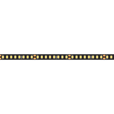 Светодиодная лента RT-5000-2835-160-24V Day4000 (Black 8mm, 12W/m, IP20) (Arlight, -)