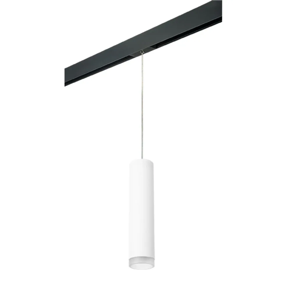 PRORP49630 Светильник д/1-фазн трека RULLO HP16 (214496+595857+202430) Lightstar