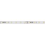 Светодиодная лента RT-20000 24V Day4000 (3528, 60 LED/m, 20m) (Arlight, 4.8 Вт/м, IP20)
