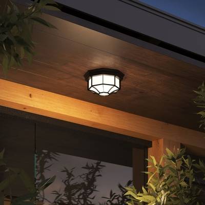 Уличный потолочный светильник Arte Lamp PEGASUS A3100PL-1BK, 1хE27