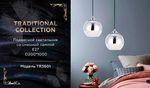 Подвесной светильник со сменной лампой TR3601 CH/CL хром/прозрачный E27 max 40W D200*1000