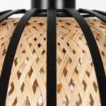 Подвесной светильник Arte Lamp WOODSTOCK A7071SP-1BK, 1хE27