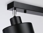 Настенно-потолочный спот в стиле лофт TR8142/2 BK черный E27*2 max 40W 340*120*180