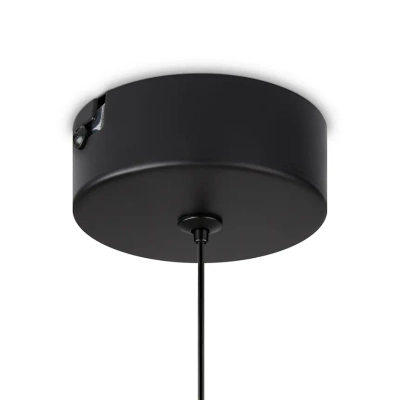 Подвесной светильник Ida FR6133PL-L4C, LED. TM Maytoni