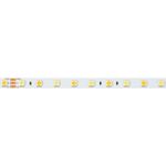 Светодиодная лента RT-B60-10mm 24V White-MIX (14.4 W/m, IP20, 5060, 5m) (Arlight, Изменяемая ЦТ)