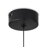 Подвесной светильник Ida FR6133PL-L4C, LED. TM Maytoni