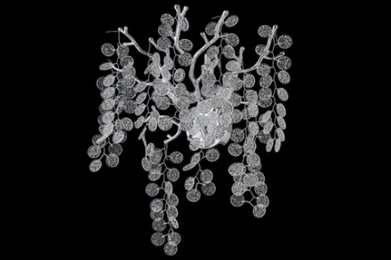 Бра Dio D'Arte Elite Tavenna H 2.40.102 N