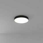 Потолочный светильник Arte Lamp FADO A6650PL-1BK, 1хLED
