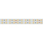 Светодиодная лента RT-B144-19mm 24V Day4000 (34.4 W/m, IP20, 5060, 5m) (Arlight, Открытый)