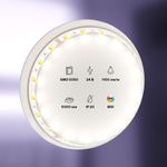 Светодиодная лента 24В 5050 14,4Вт/м MIX 5м IP20, 20043. TM Maytoni