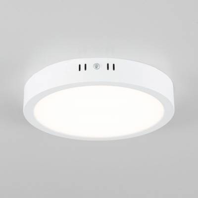 Citilux Галс CL5522N Светильник накладной светодиодный