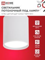 Светильник НПБ-ЦИЛИНДР-GX53 TBM-WH 80х90мм потолочн. бел. IN HOME 4690612056418