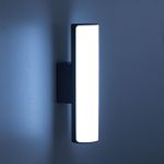Citilux CLU0007 LED Уличный светильник Графит
