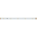 Светодиодная лента RT 2-5000 24V Cool 8K 0.5x (3528, 150 LED, LUX) (Arlight, 2.9 Вт/м, IP20)