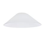 Citilux Эдисон CL450.12 Плафон