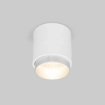 Накладной светодиодный светильник Cors 25032/LED 10W 4200K белый/серебро