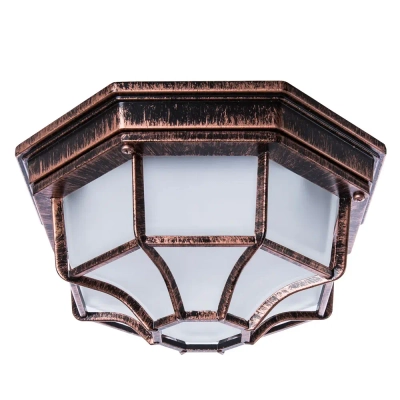 Уличный потолочный светильник Arte Lamp PEGASUS A3100PL-1AC, 1хE27