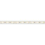 Светодиодная лента герметичная RTW-PU-A120-10.5mm 24V Day4500 (16.8 W/m, IP68, 2835, 5m) (Arlight, -)